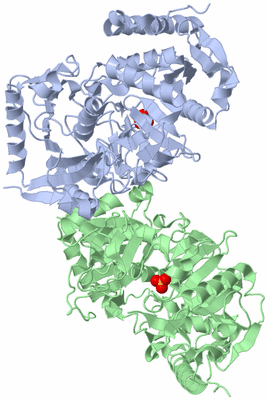 Image Asym./Biol. Unit