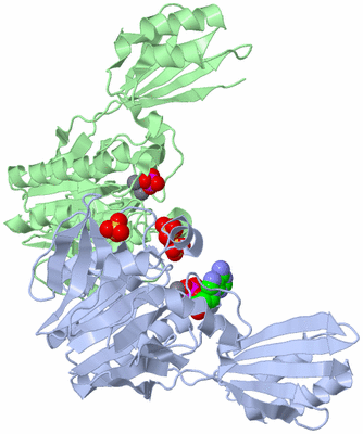 Image Asym./Biol. Unit