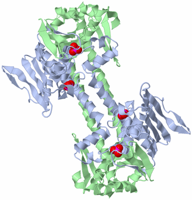 Image Biological Unit 2