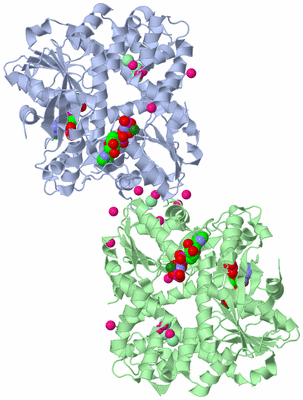 Image Asymmetric Unit