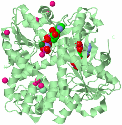 Image Biological Unit 2