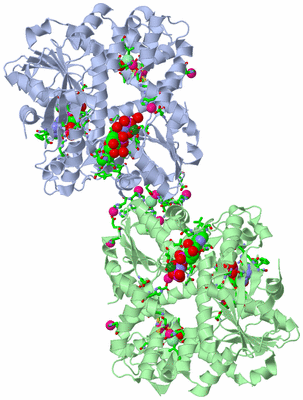 Image Asym. Unit - sites