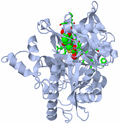 Image Biol. Unit 1 - sites