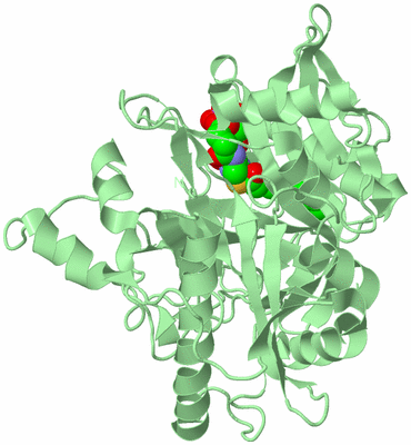 Image Biological Unit 2