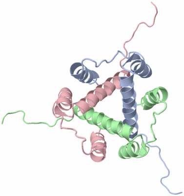 Image NMR Structure - model 1