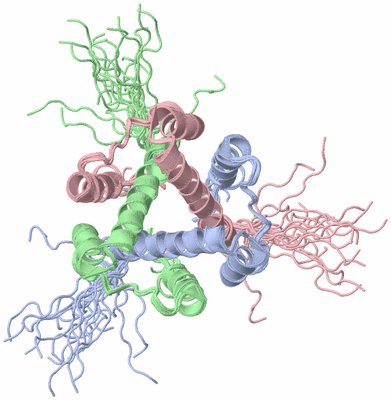 Image NMR Structure - all models