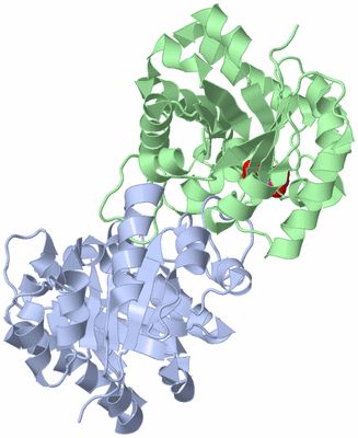 Image Asym./Biol. Unit