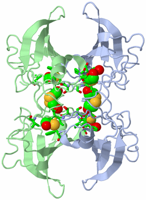 Image Biol. Unit 1 - sites