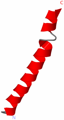 Image NMR Structure - model 1