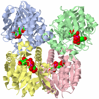 Image Asym./Biol. Unit