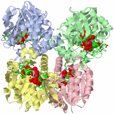 Image Asym./Biol. Unit - sites