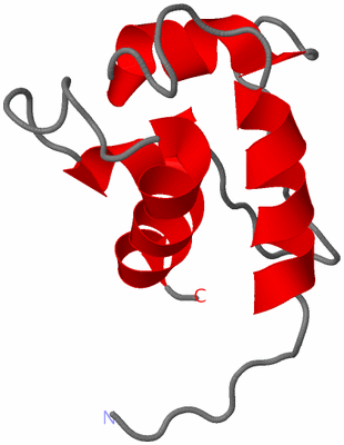 Image NMR Structure - model 1