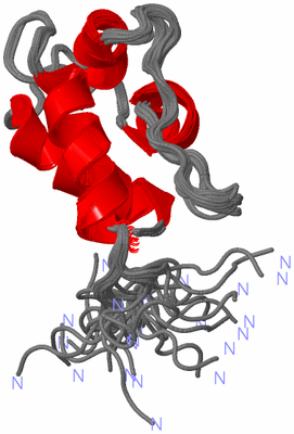 Image NMR Structure - all models