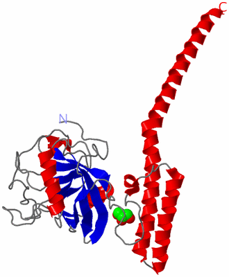 Image Asymmetric Unit