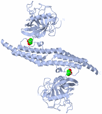 Image Biological Unit 3