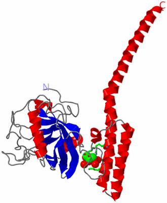 Image Asym. Unit - sites