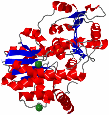 Image Asym./Biol. Unit