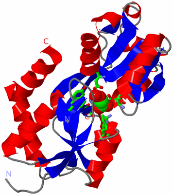 Image Asym. Unit - sites