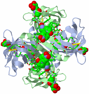 Image Biol. Unit 1 - sites