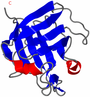 Image NMR Structure - model 1