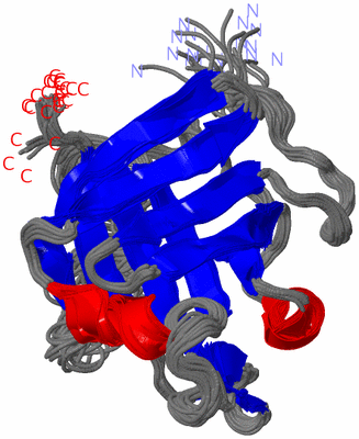 Image NMR Structure - all models