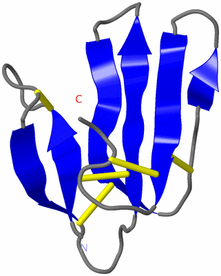 Image NMR Structure - model 1