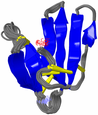Image NMR Structure - all models
