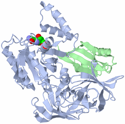 Image Asym./Biol. Unit