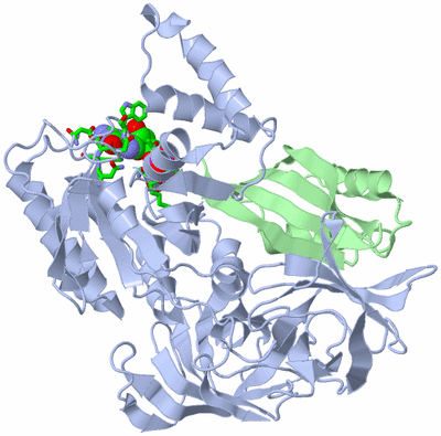 Image Asym./Biol. Unit - sites