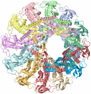 Image Asym./Biol. Unit