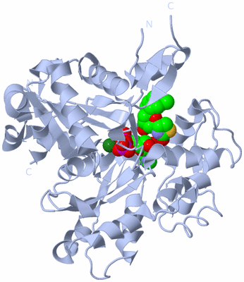 Image Biological Unit 1