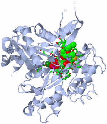 Image Biol. Unit 1 - sites