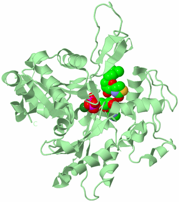 Image Biological Unit 2