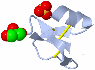 Image Biological Unit 1