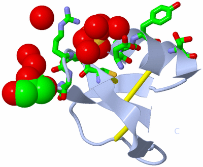 Image Biol. Unit 1 - sites