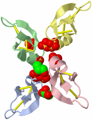 Image Biological Unit 5