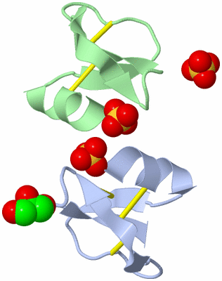 Image Biological Unit 7