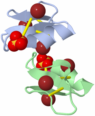 Image Asymmetric Unit