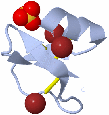 Image Biological Unit 1