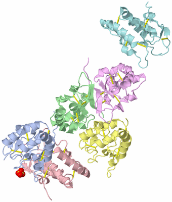 Image Asymmetric Unit