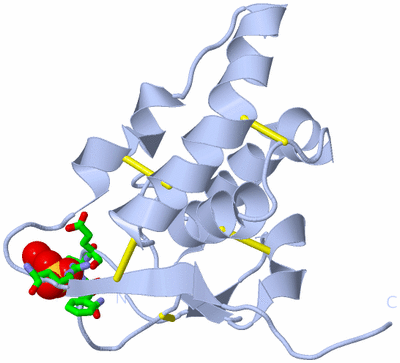 Image Biol. Unit 1 - sites