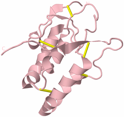 Image Biological Unit 3
