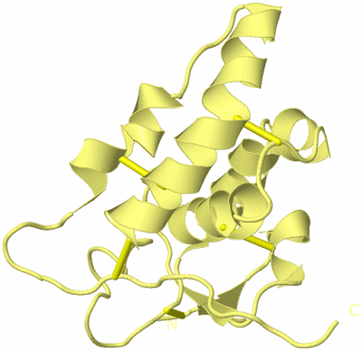 Image Biological Unit 4