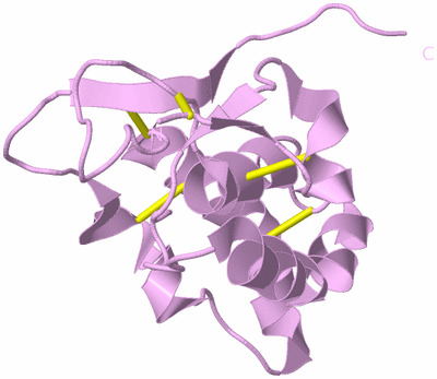 Image Biological Unit 5