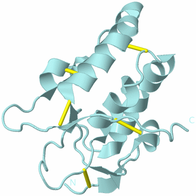 Image Biological Unit 6