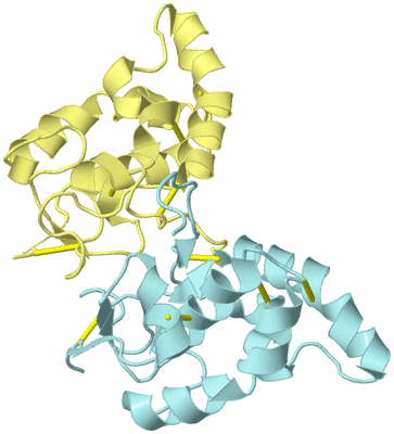 Image Biological Unit 7
