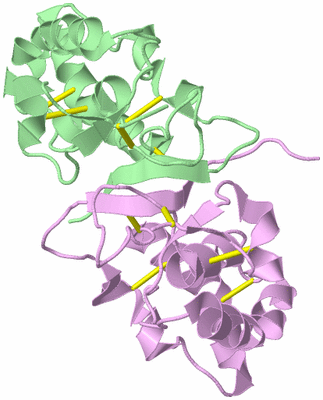 Image Biological Unit 8