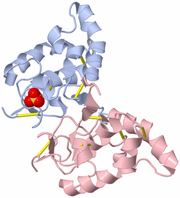 Image Biological Unit 9