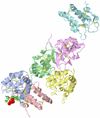 Image Asym. Unit - sites