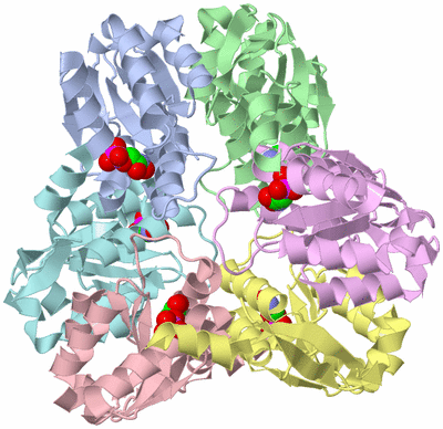 Image Asym./Biol. Unit